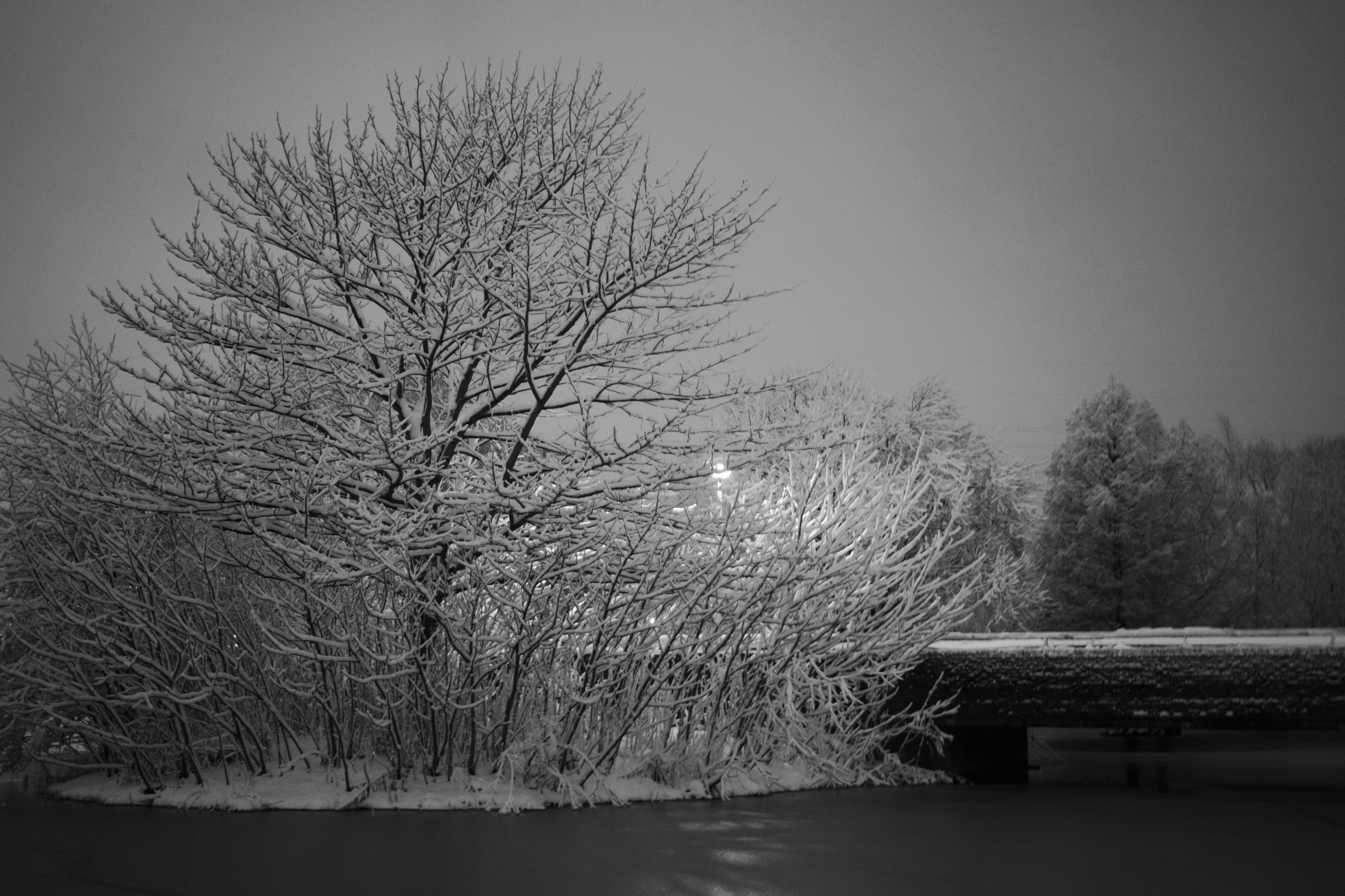 snow