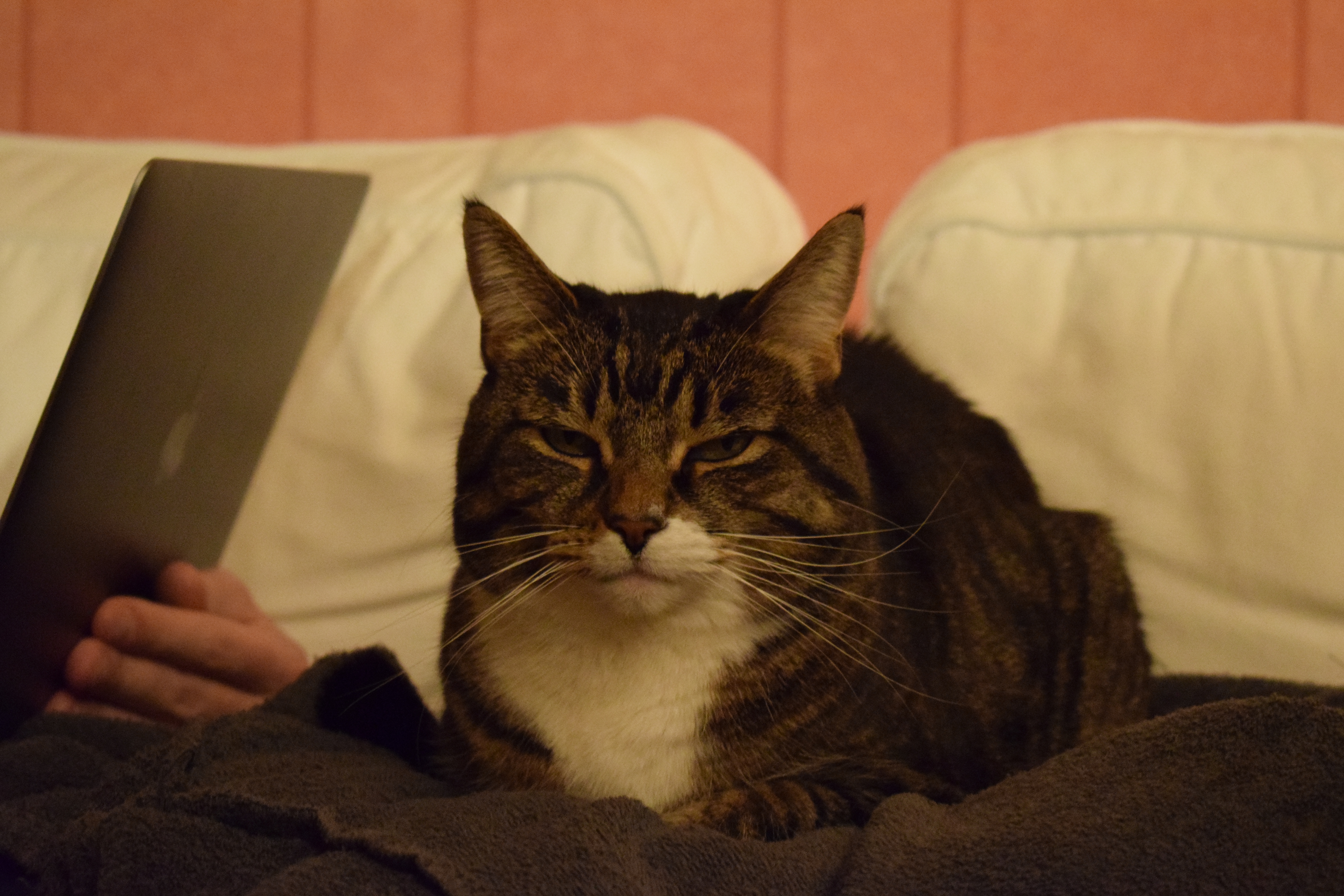 filou-taking-snap