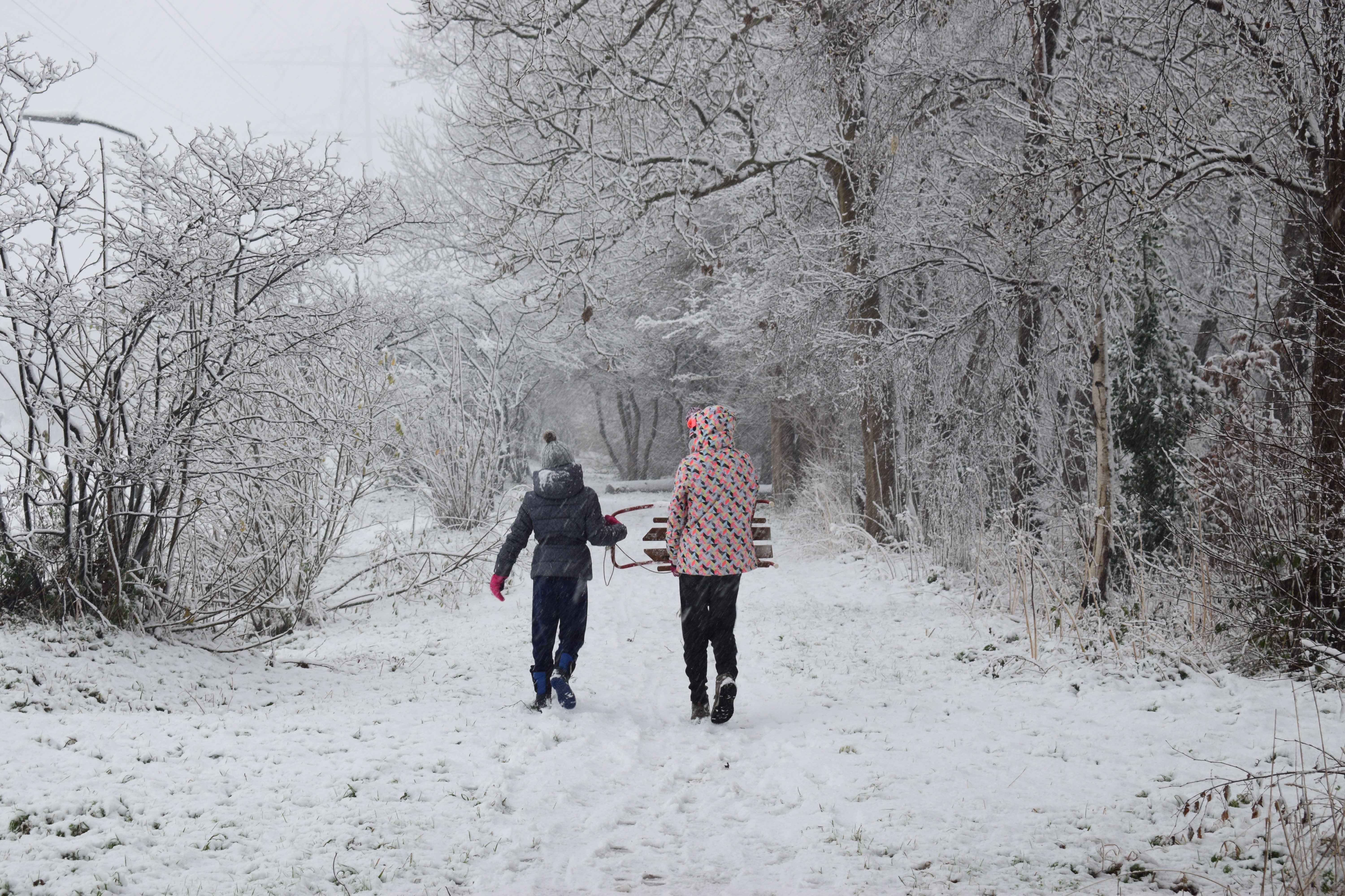 snow