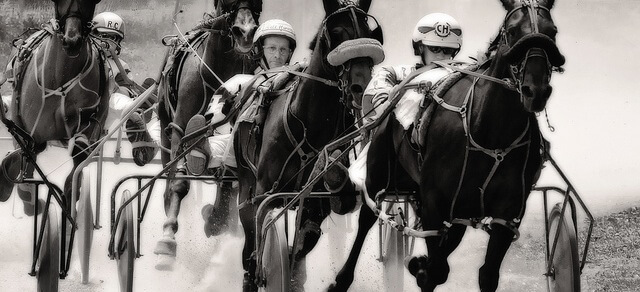 Horse Race