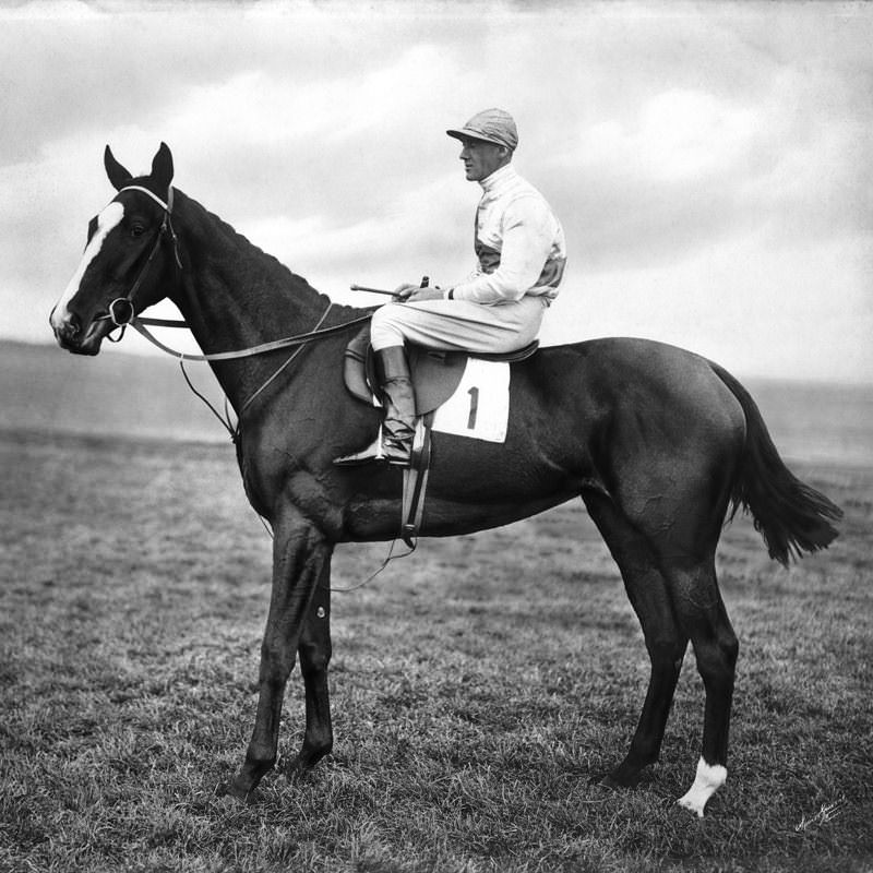 Ascot Green