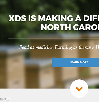 XDSinc.org Web Design and Development