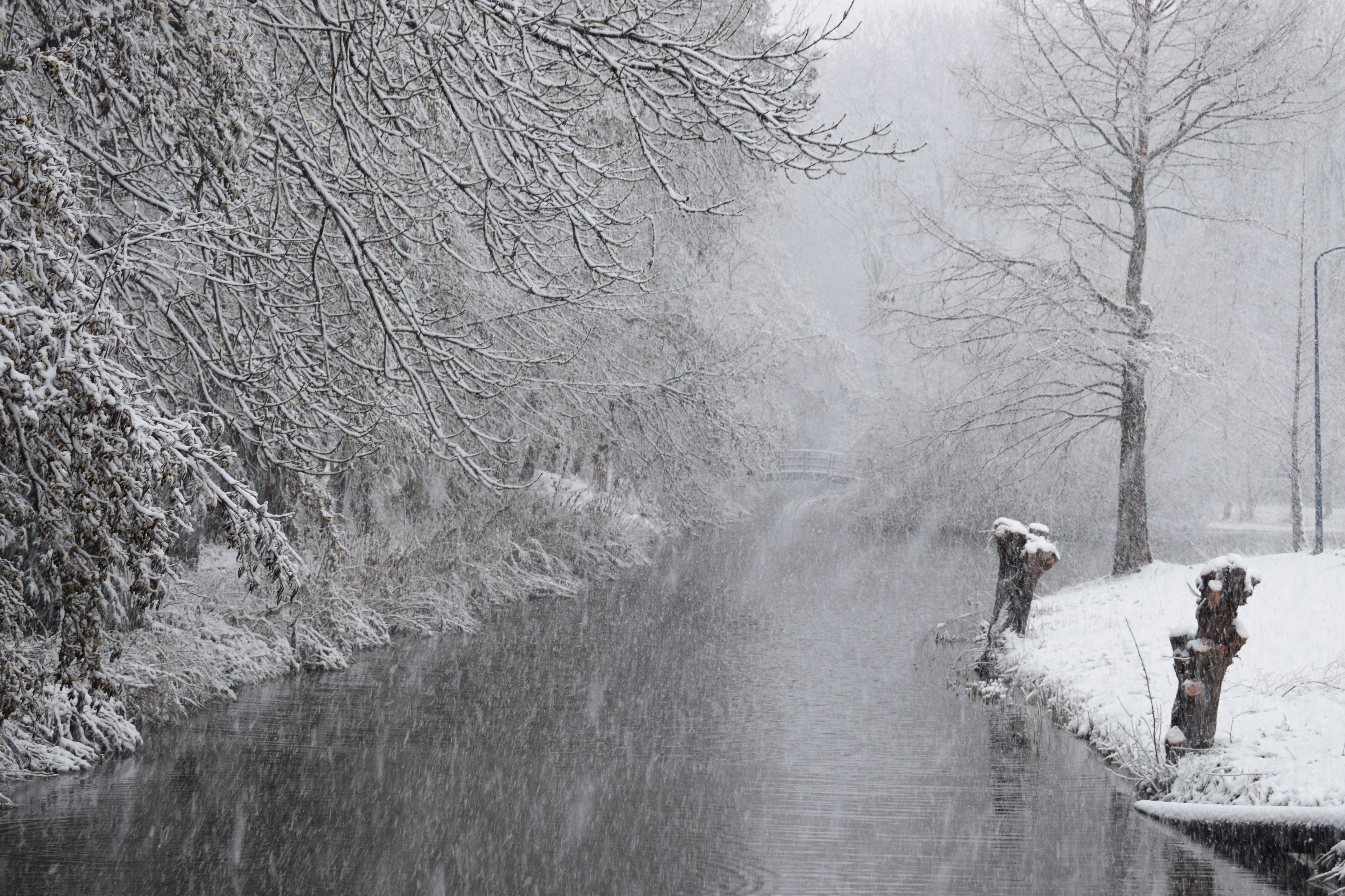snow