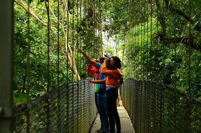 Arenal Hanging Bridges Arenal Costa Rica