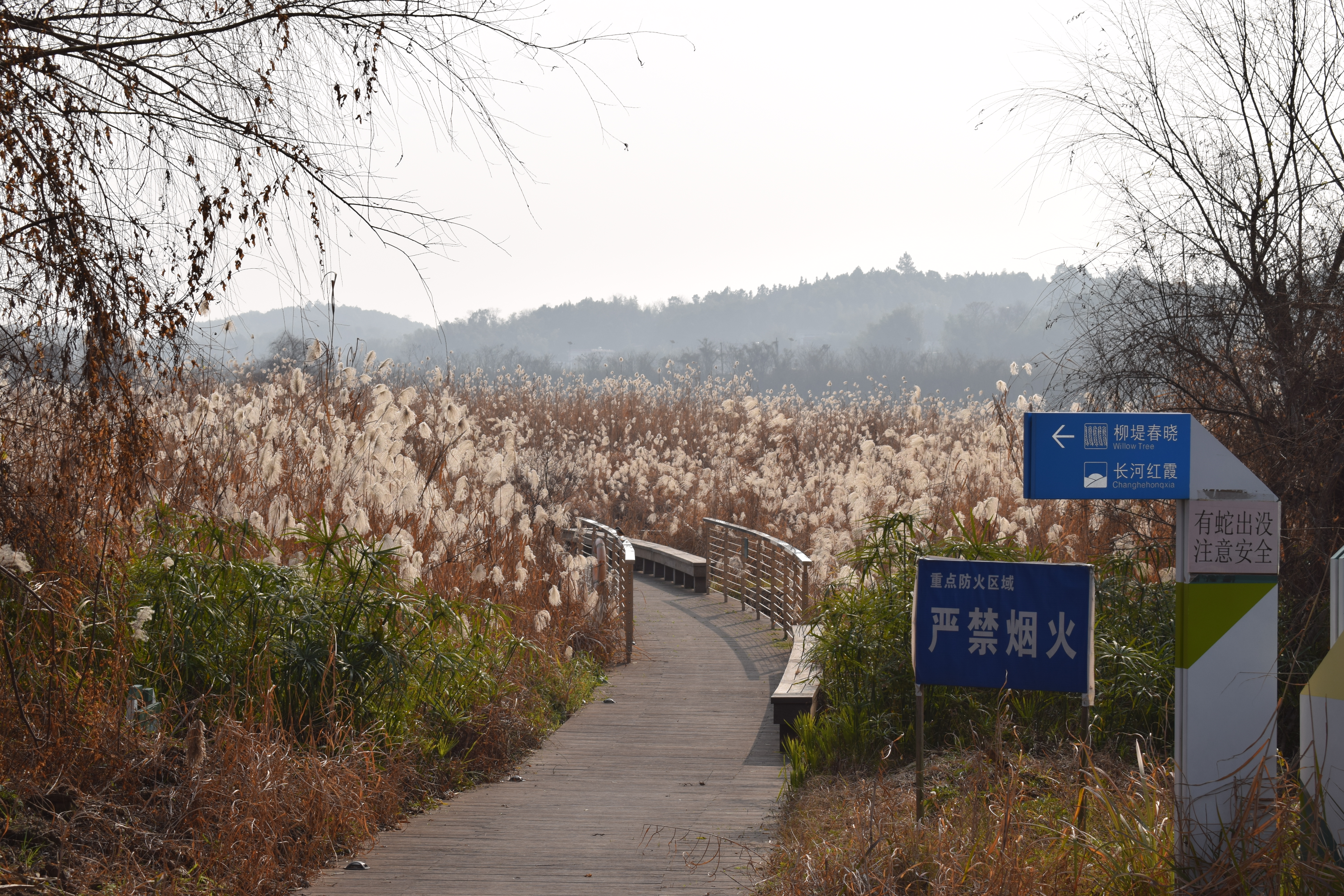 changsha