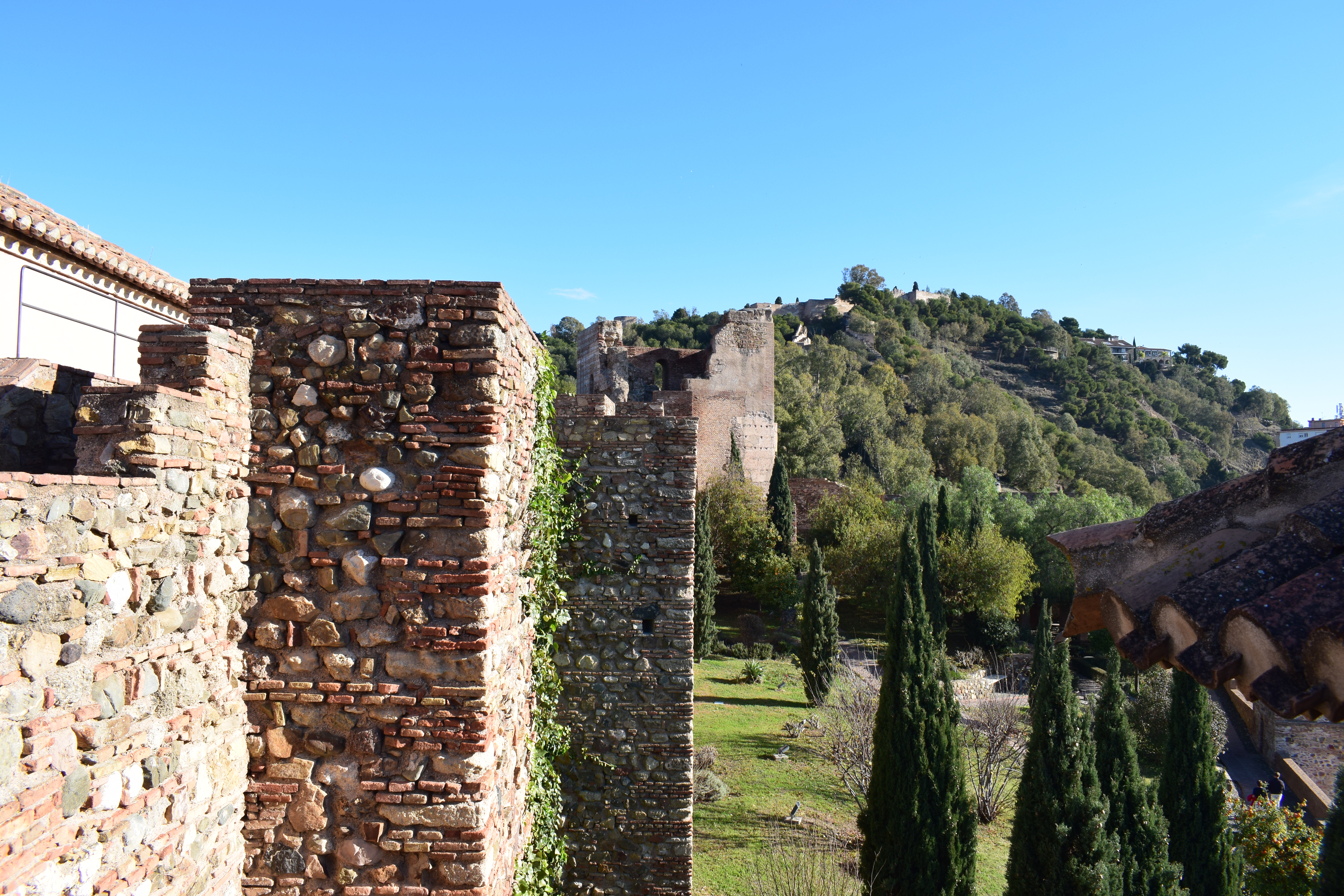 malaga