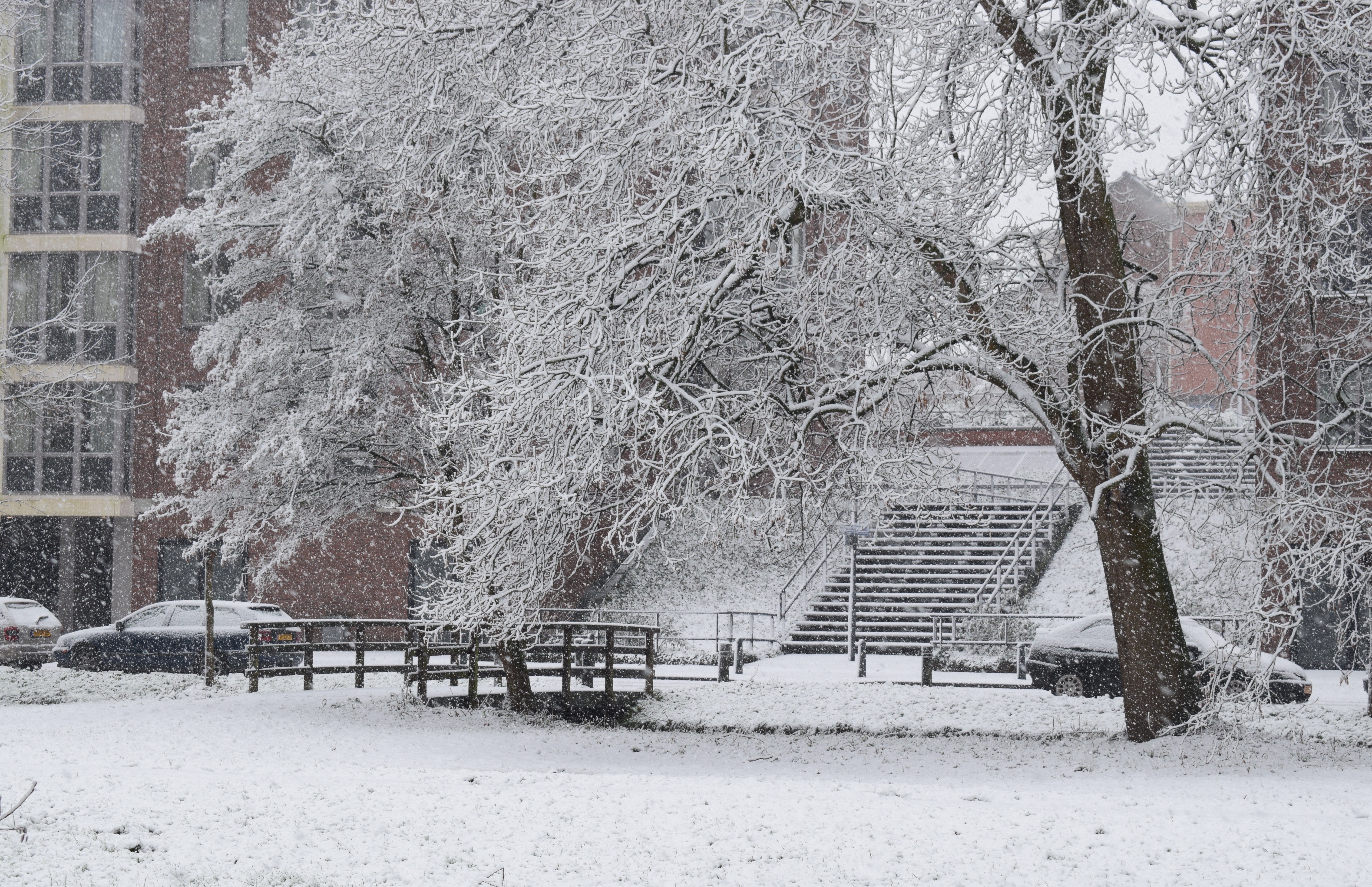snow