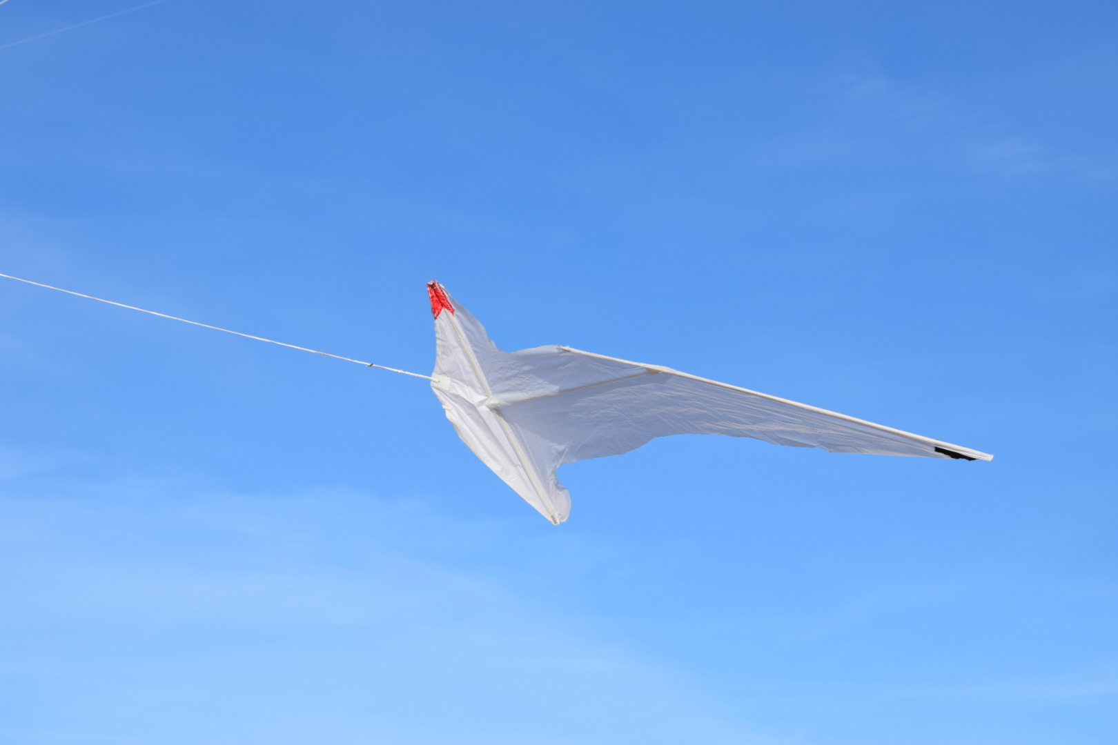 kite