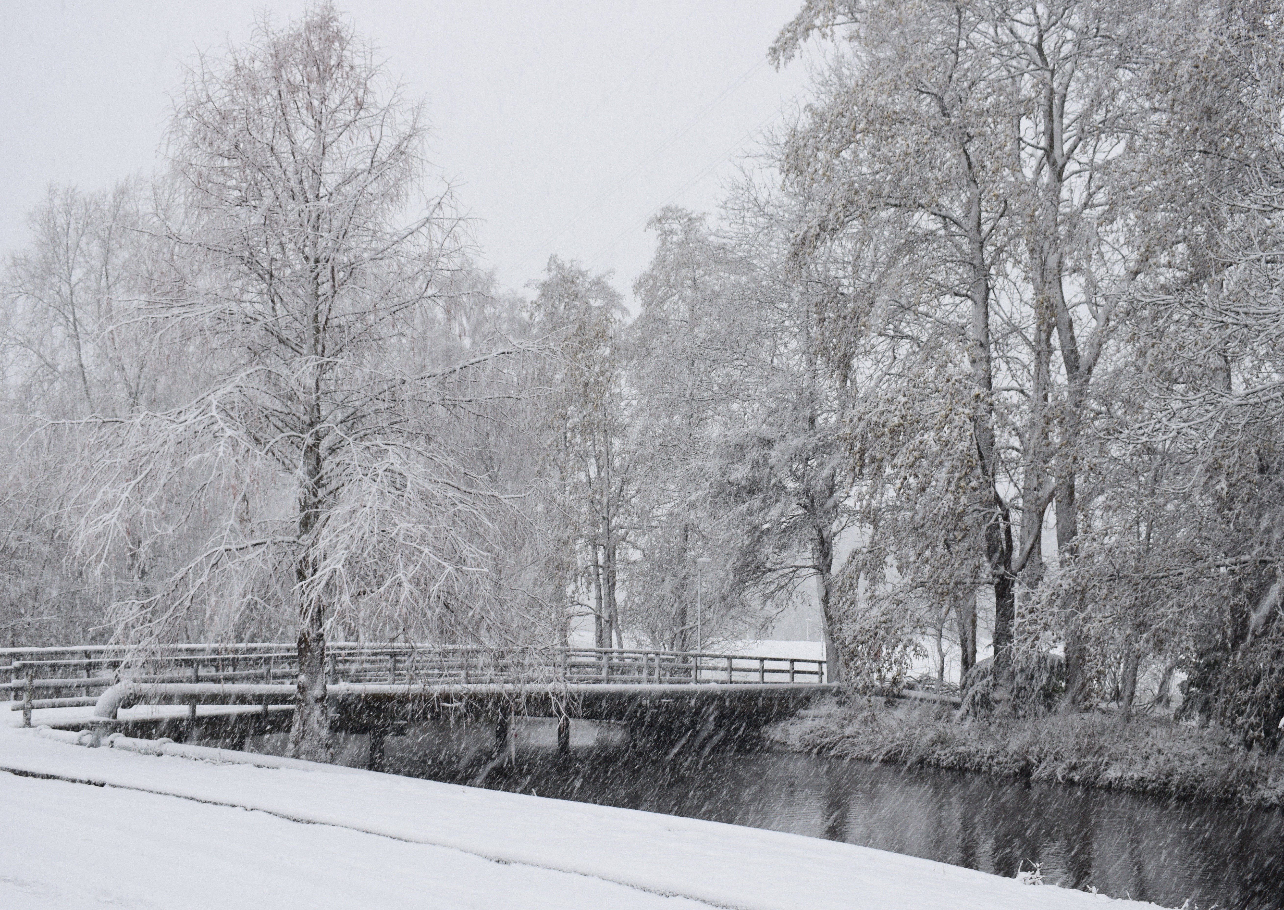 snow