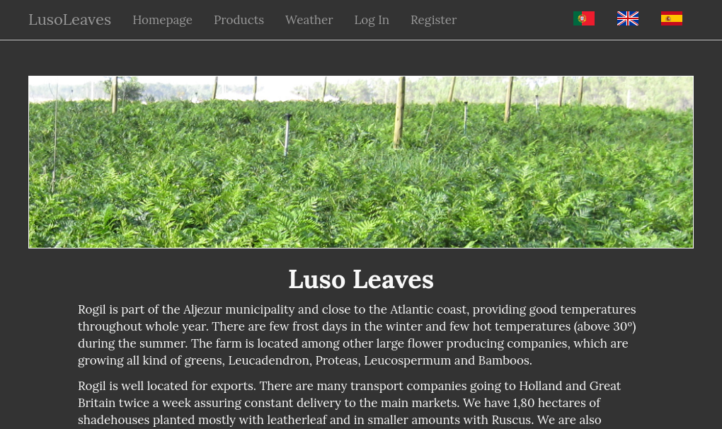 Lusoleaves - a business website.