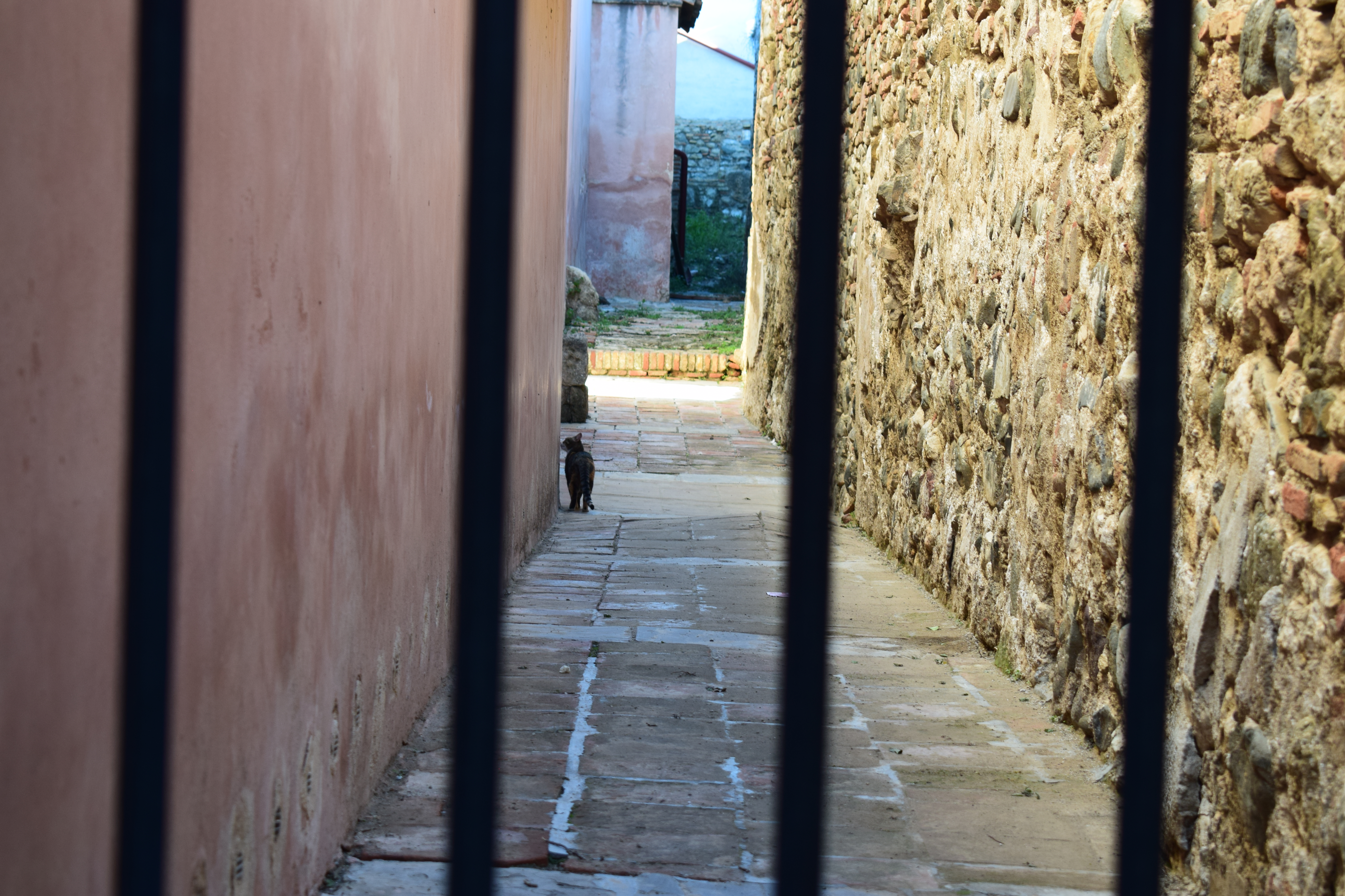 malaga