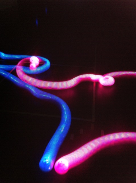 Blue & Pink