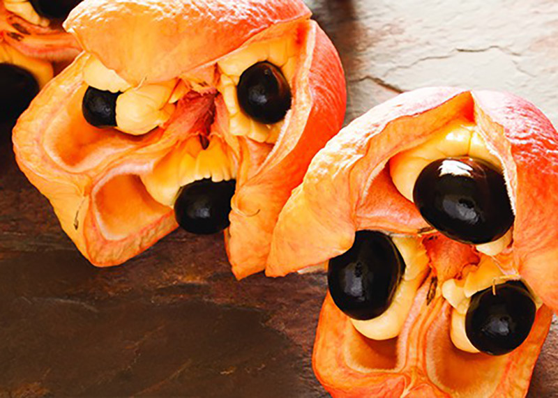 ackee fruit with red skin and large black shiny seeds
