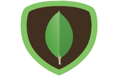 mongodb image