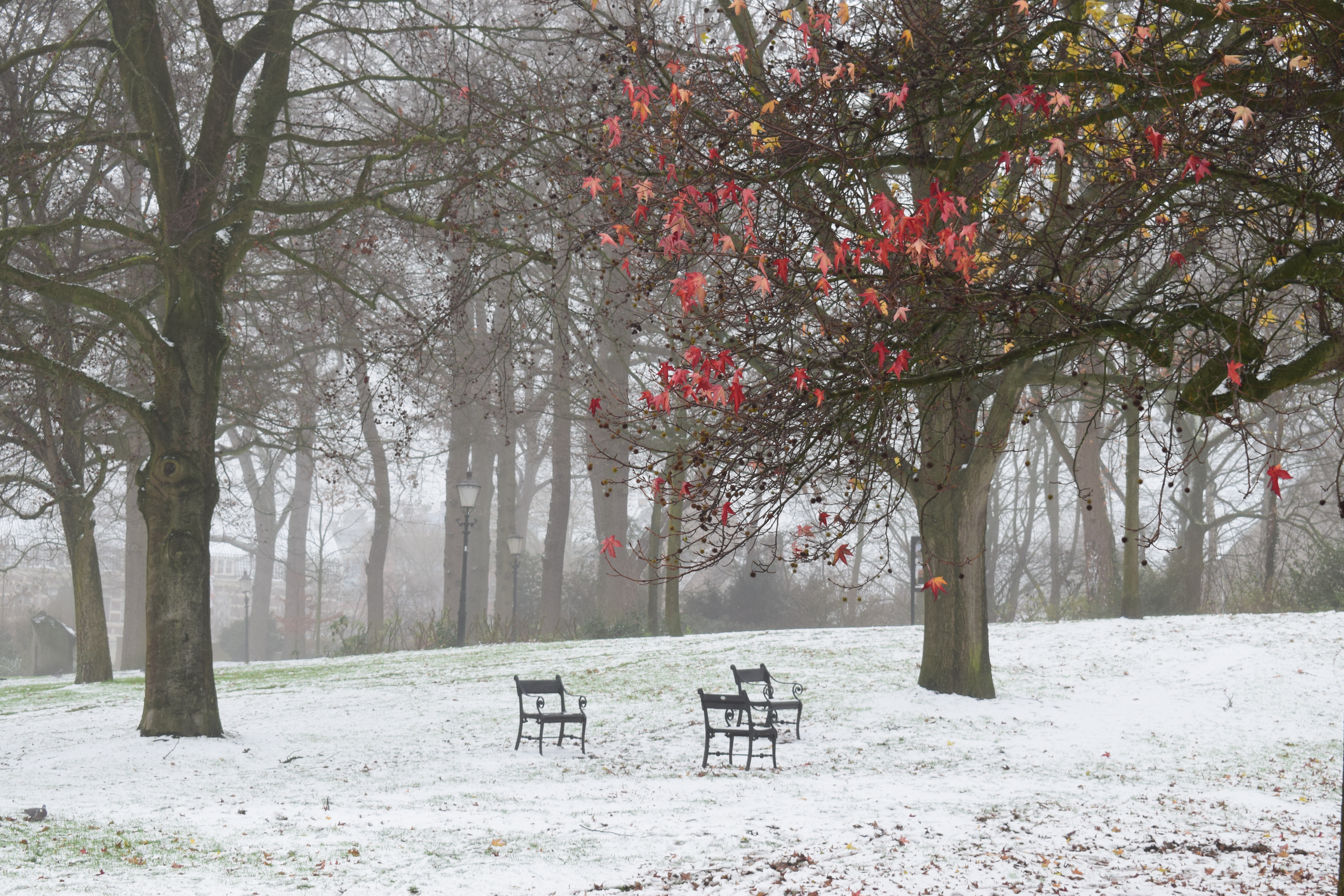 first-snow