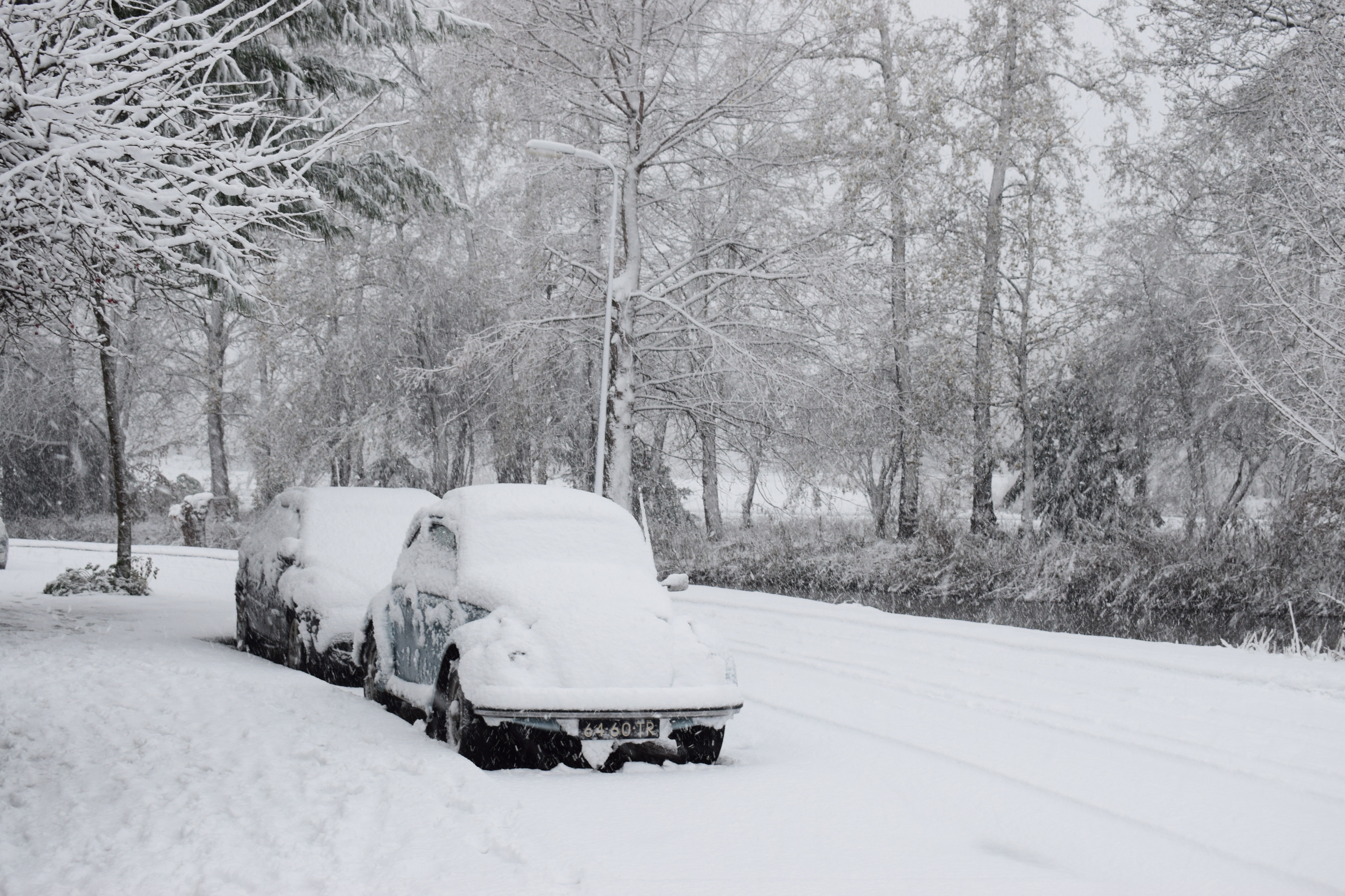 snow