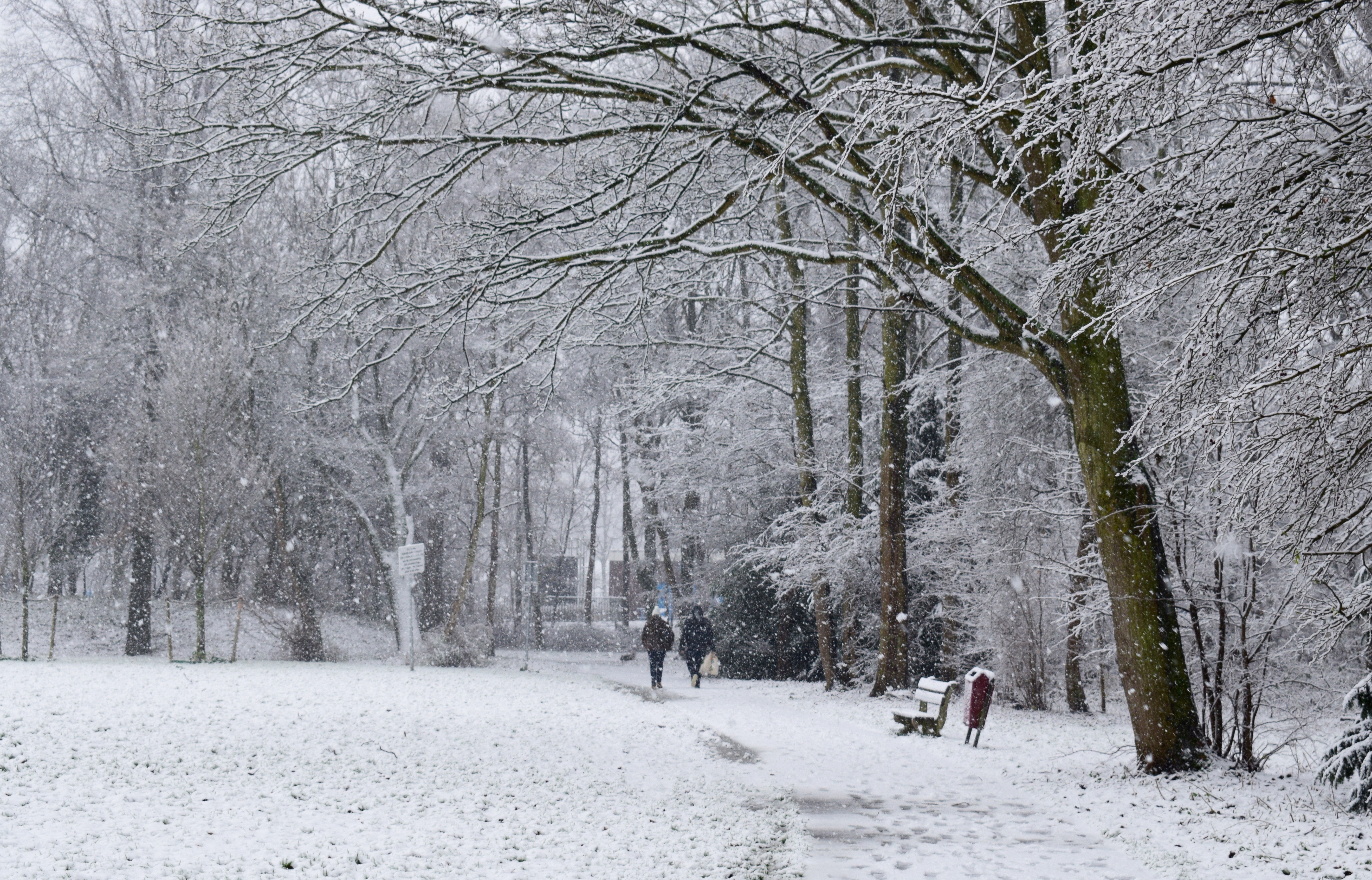 snow