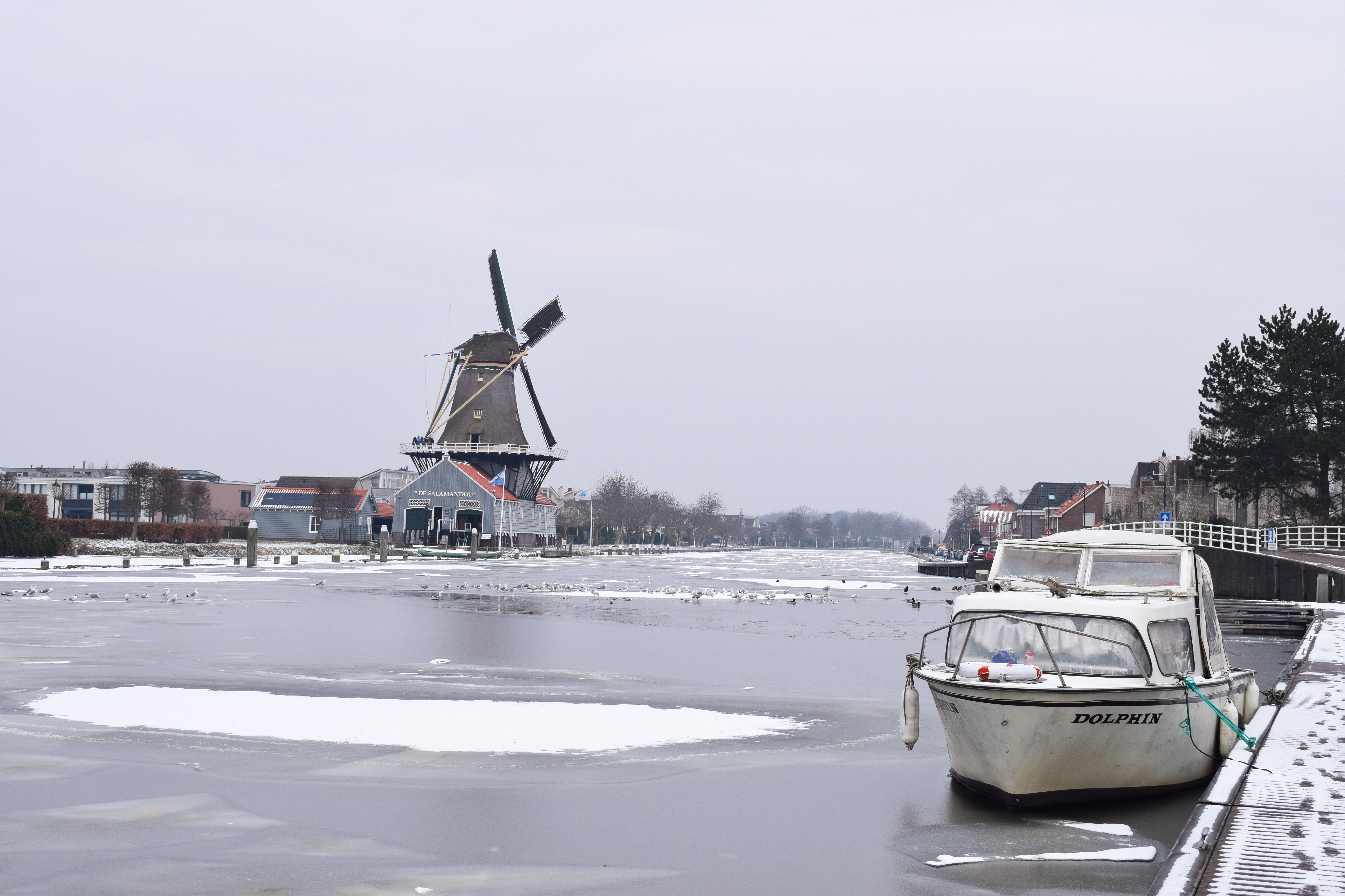 de-vliet