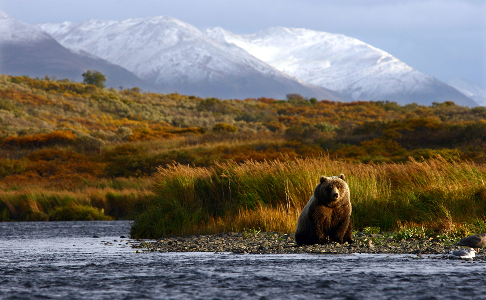 SSoP Podcast Episode 14 — Alaska: Fresh-Caught Salmon, Cake Mix, and So Many Bears