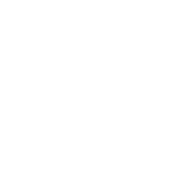 Github image