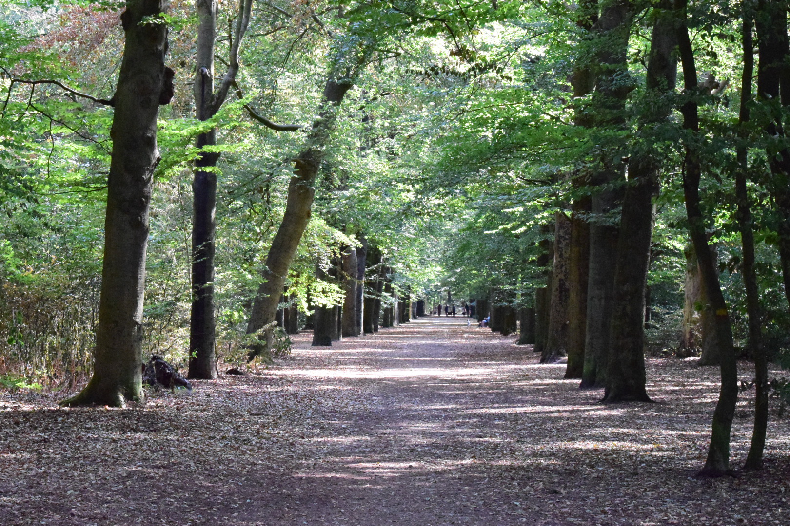 Heiligenbergerbeek