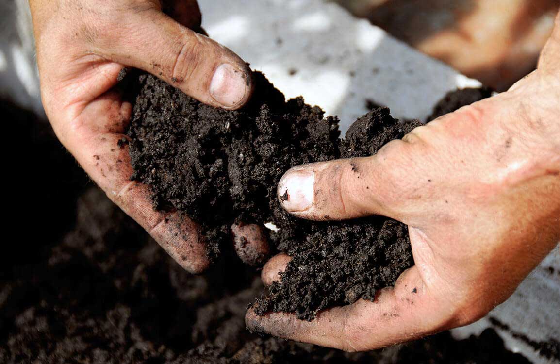 soil monitoring is important for sustainable agriculture