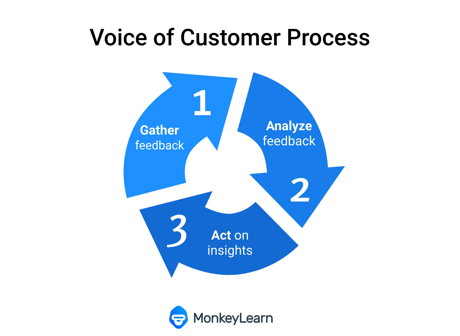Voice of customer process
