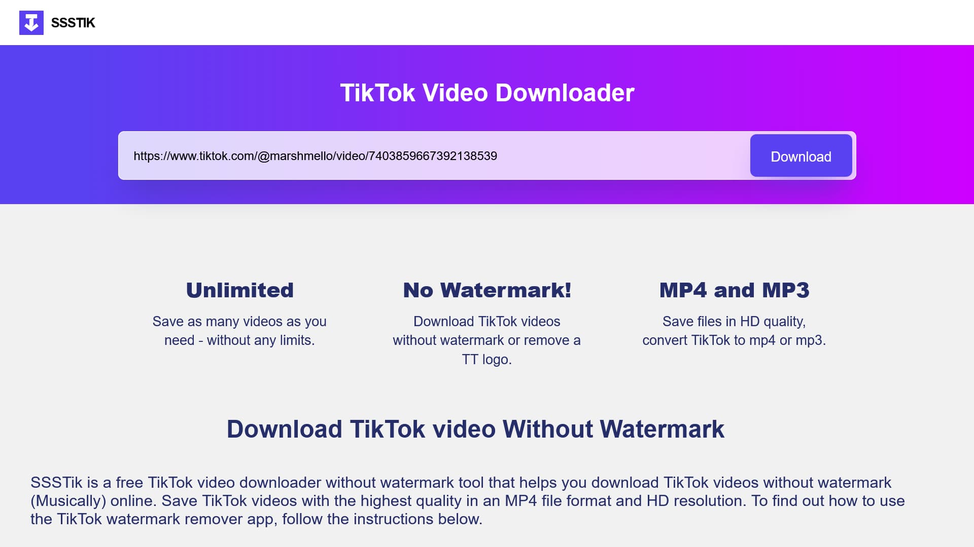 TikTok Downloader