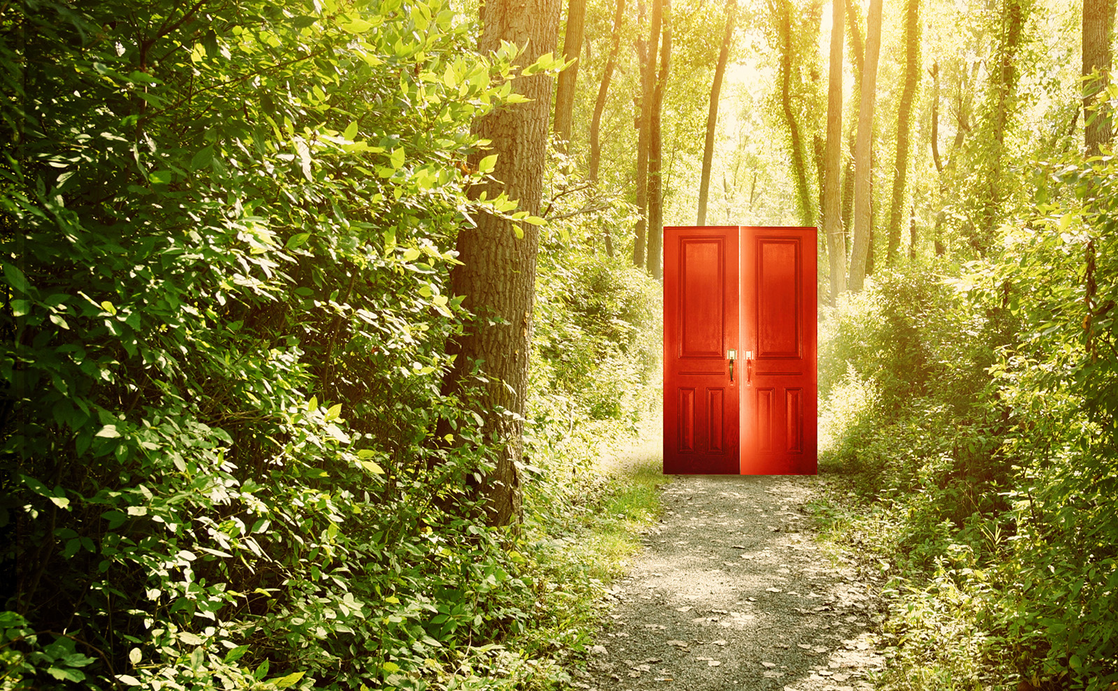 bright red door on a sunny path leading through the forest