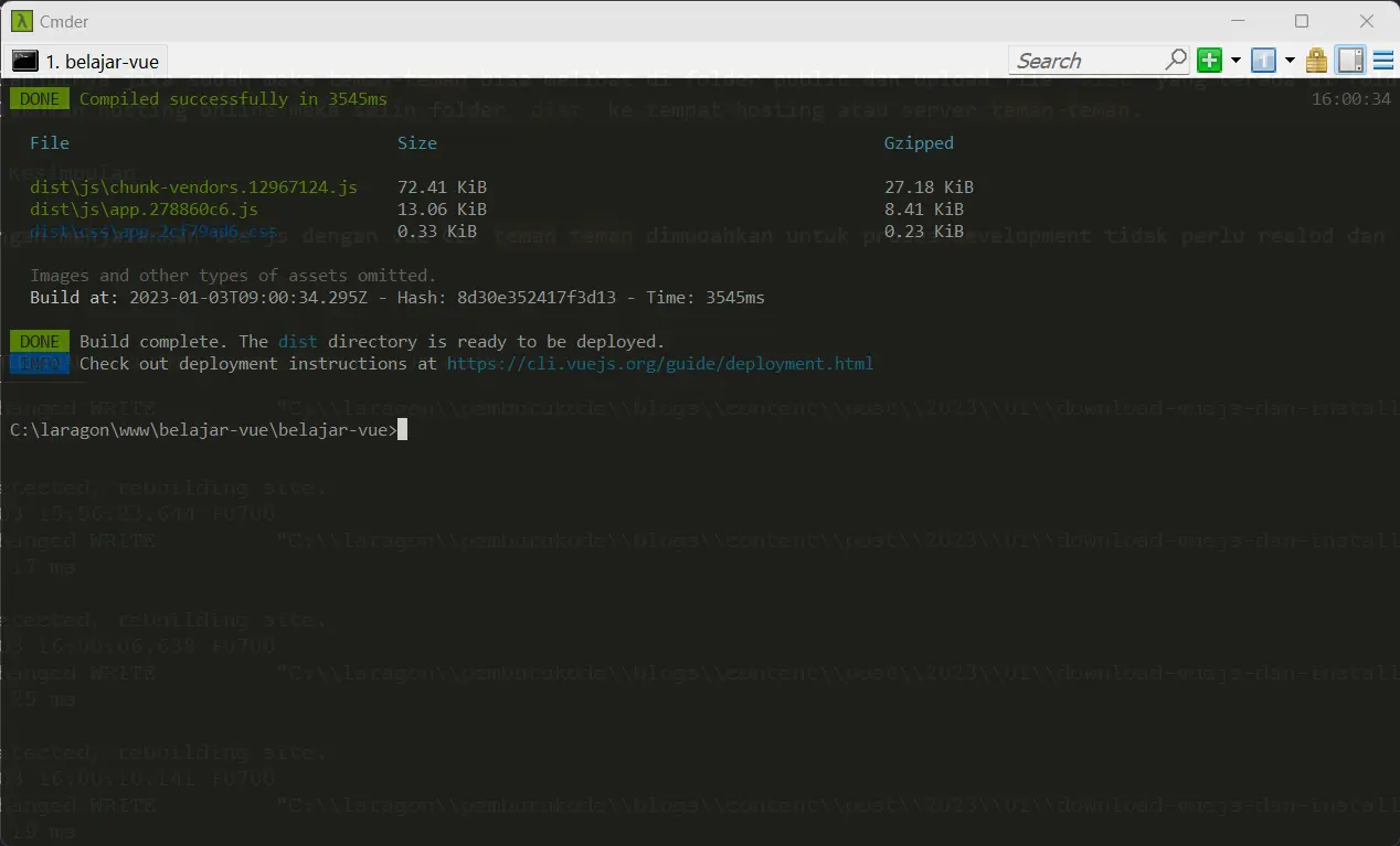 vue cli running and build local