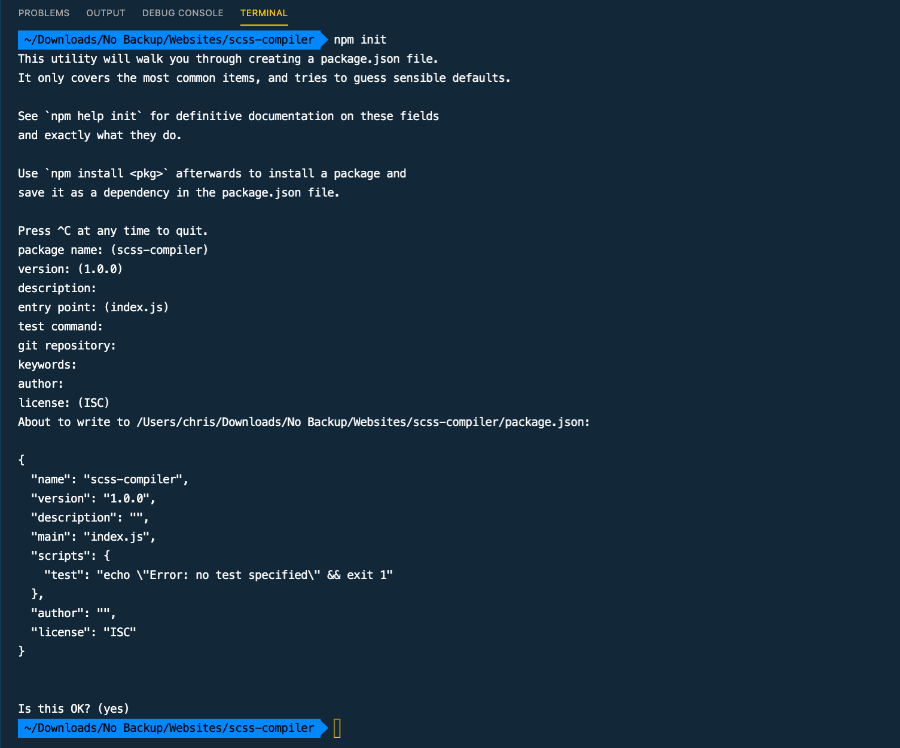 package.json file example