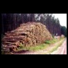 Logging_tn.jpg