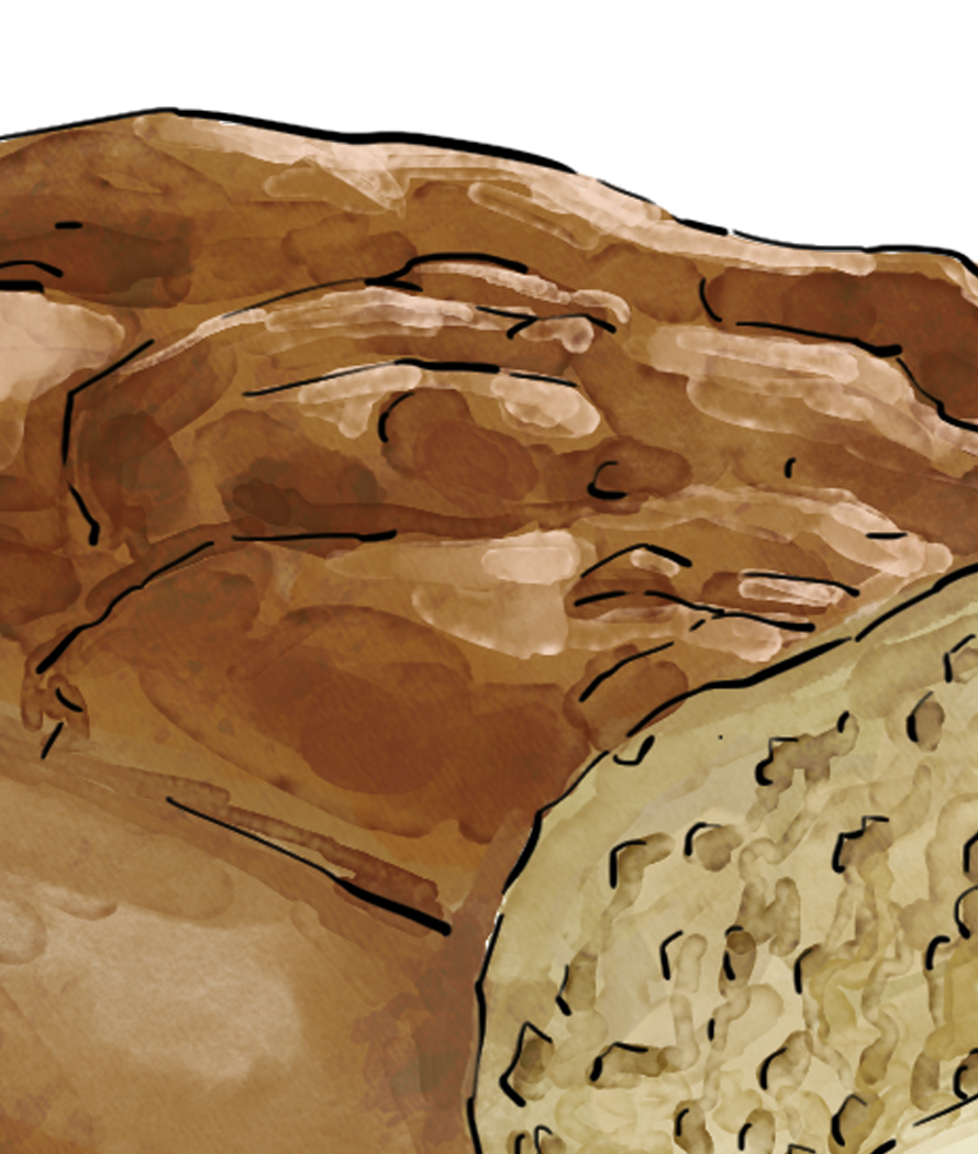 Illustration of Illustration of Uncle Lynn’s English Muffin Bread