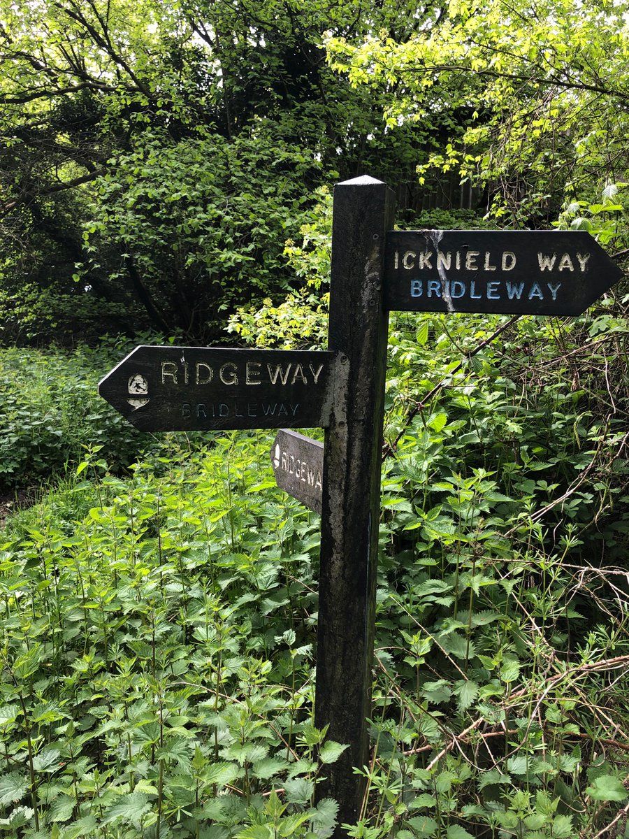 oh my god twitter doesn’t include alt text from images in their API