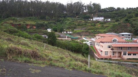 Grassland and Forest topped hills