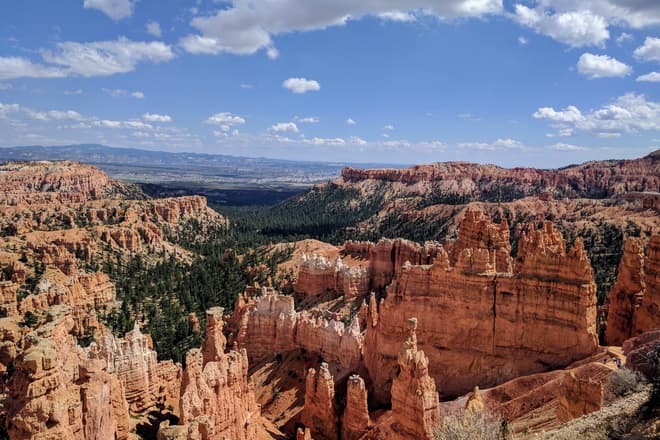 A semi-circular amphitheater filled with hundreds of densely packed red and white stone pillars. The pillars eventually cluster into distinct stone fins that meet up with the South Wall of Bryce Canyon.