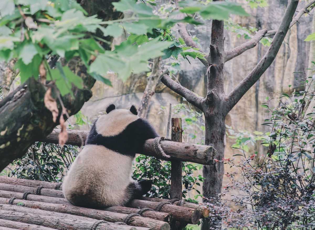 pandas(판다스) Series 사용법