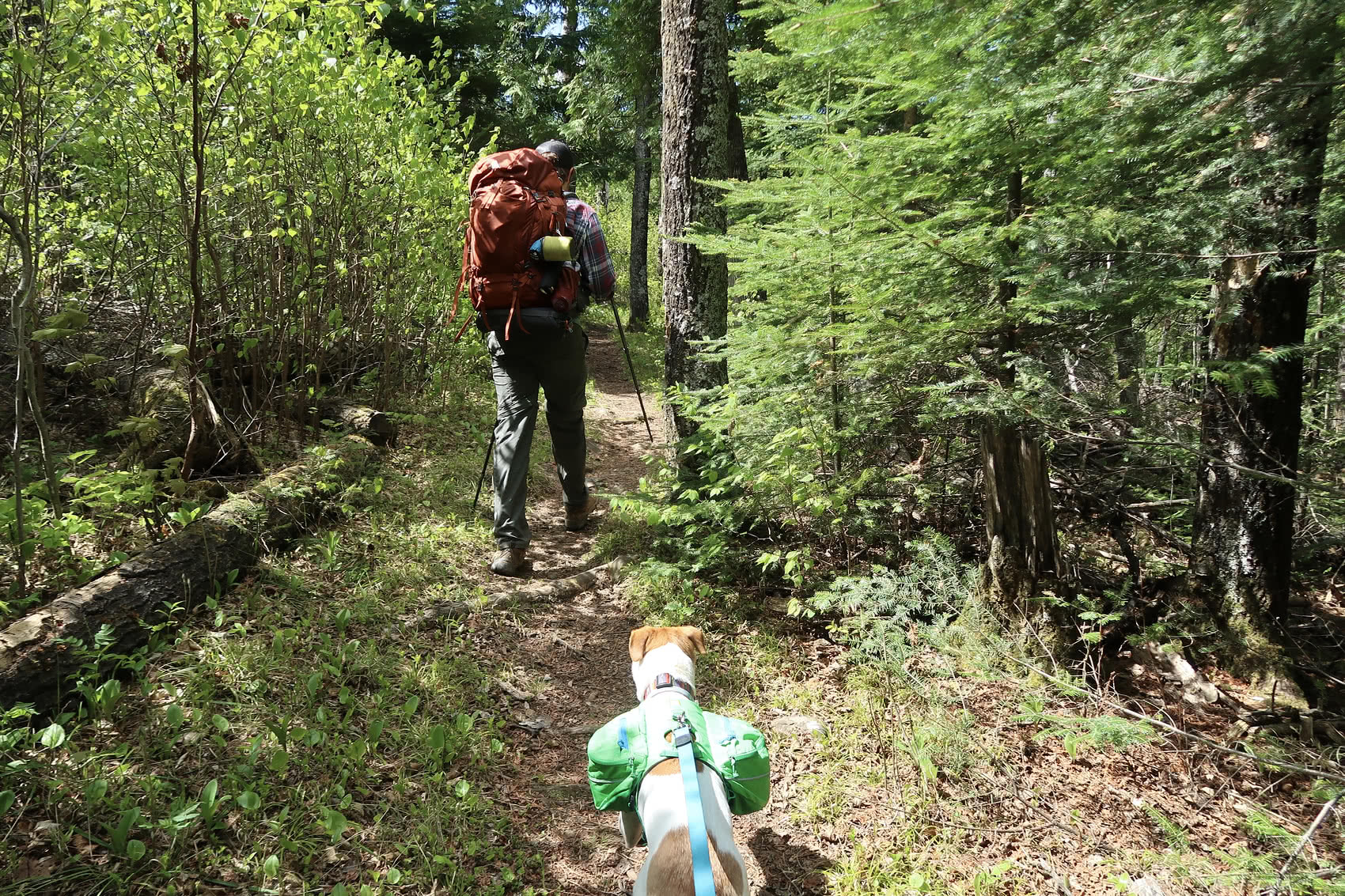 More views along the trail