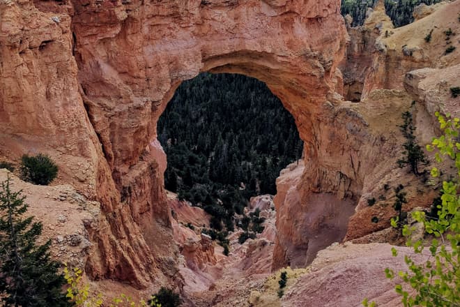 An arch in a fin of rock extending from the South Wall of Bryce Canyon. Pine trees are beginning to grow in the steep gulch descending through the arch.