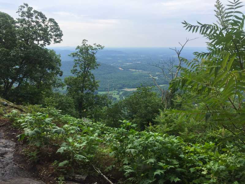 AT 2017: Day 65, Harper's Creek Shelter to Reid's Gap | Hike with Gravity