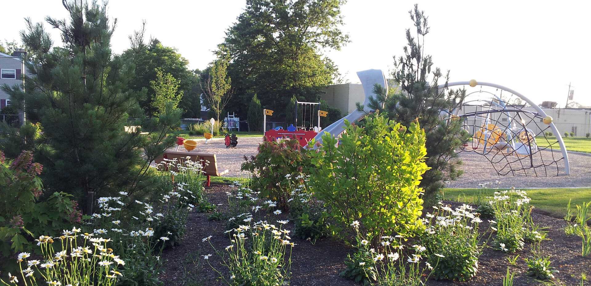 landscaping surrounding the playground area