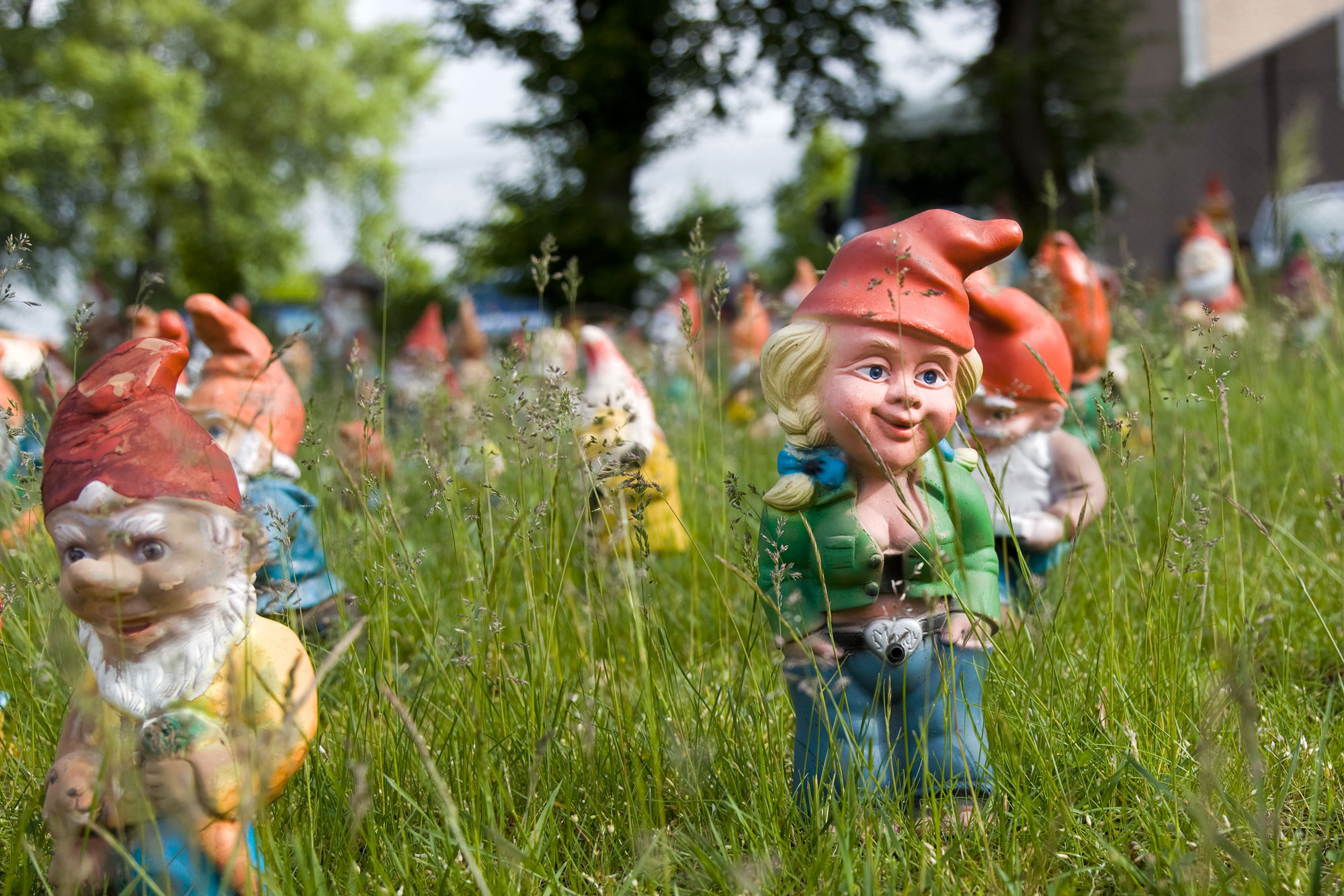 Lots of gnomes, somewhere in Wisconsin
