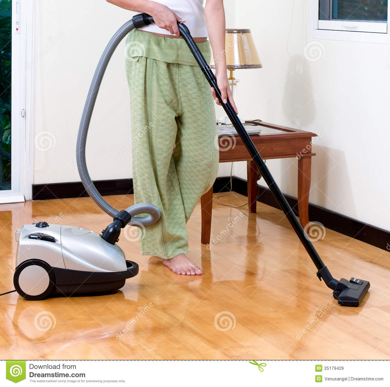 Vacuum cleaner repairs in Clapham Green