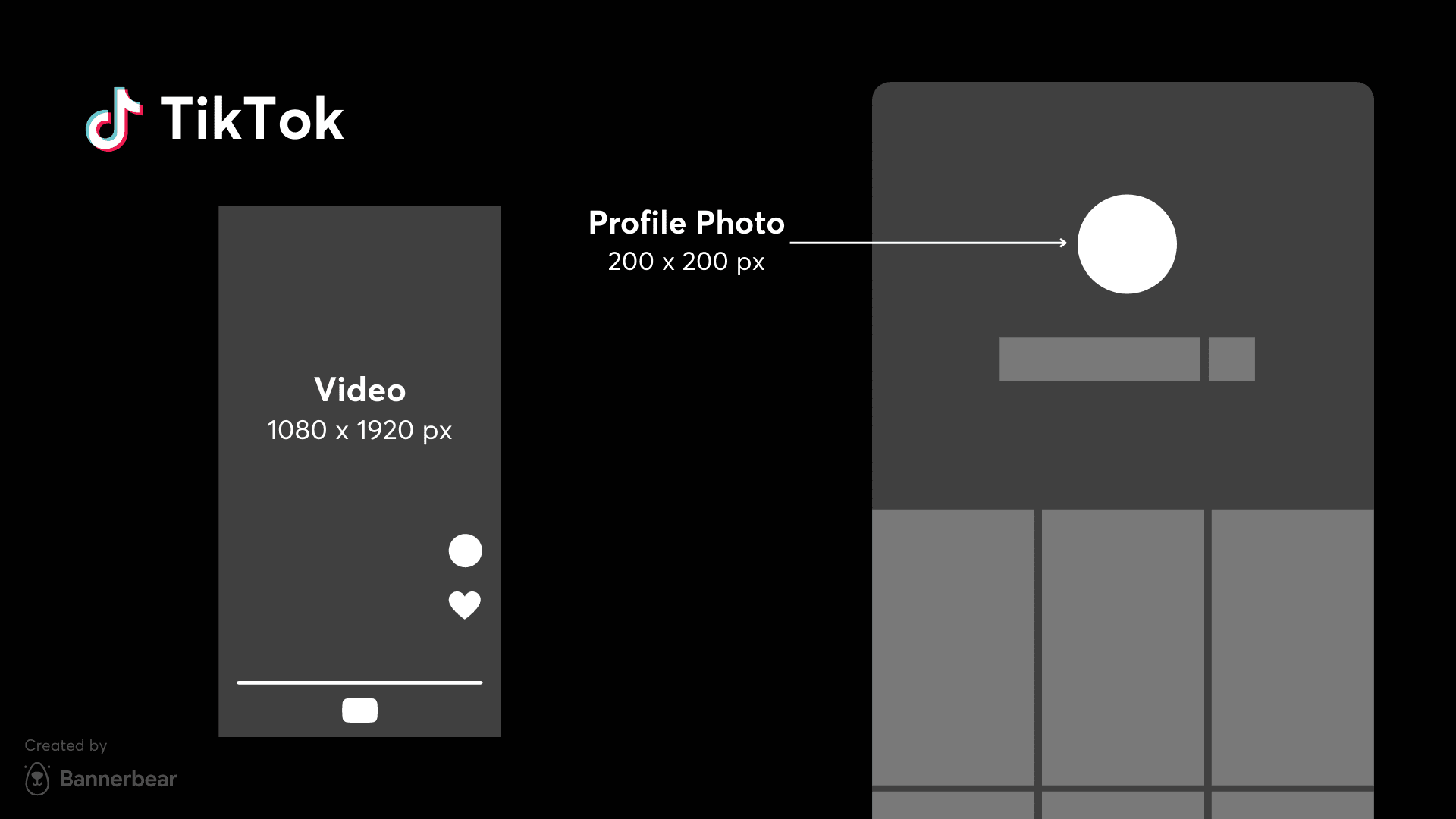 TikTok image guide size