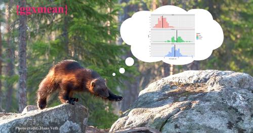 Thumbnail A baby wolverine walking between two rocks. The bear is thinking up a plot made with ggxmean that shows a histogram with lines at the mean. The top left says ggxmean in text.