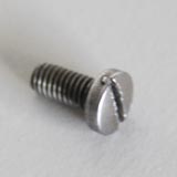 Screw Screw
