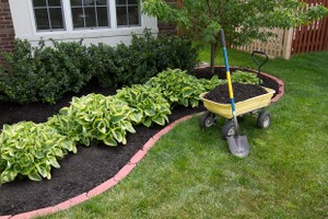 A landscaping contractor preparing to spread mulch around the frontyard.