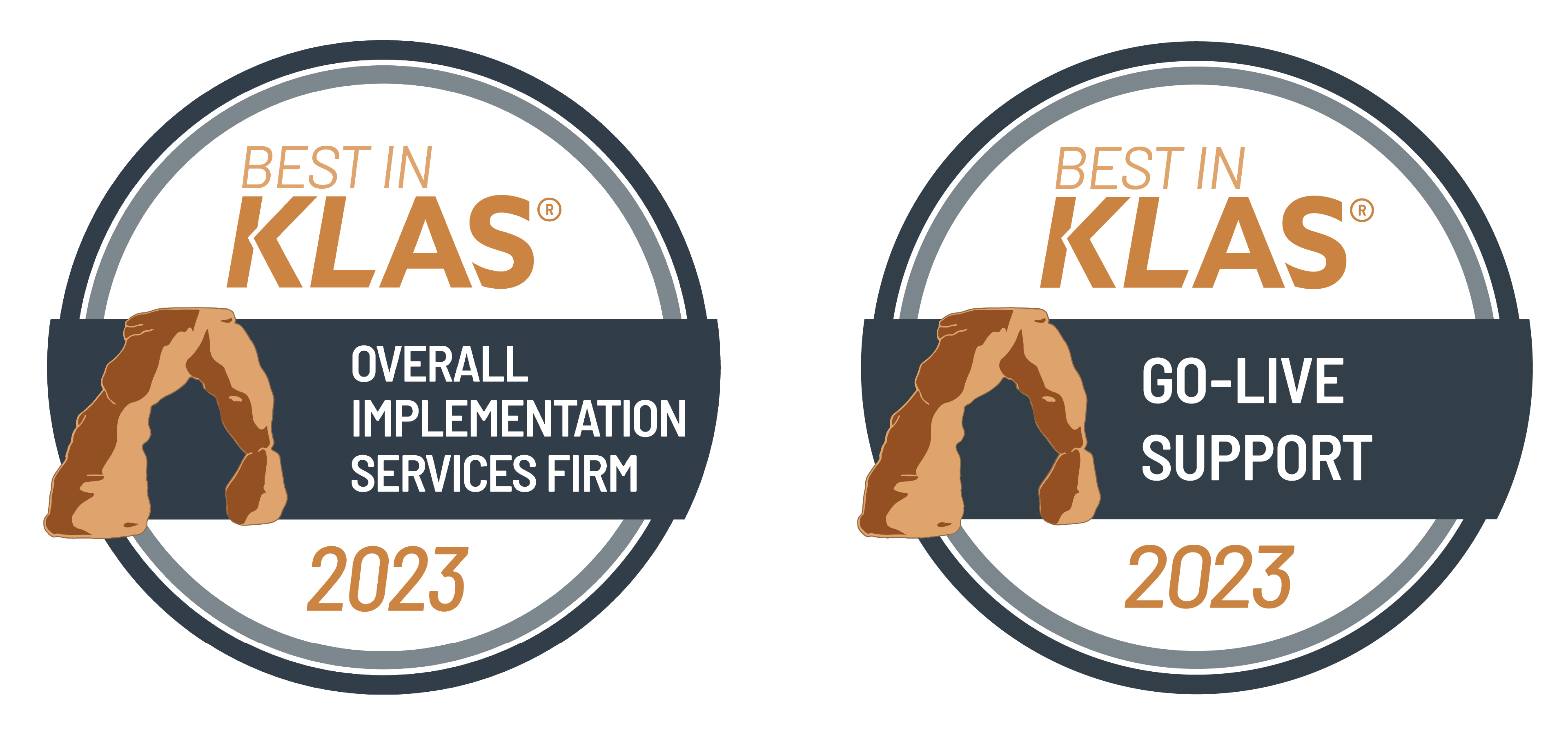 Best in Klas Overall Implementation Services Firm and Go-Live Support