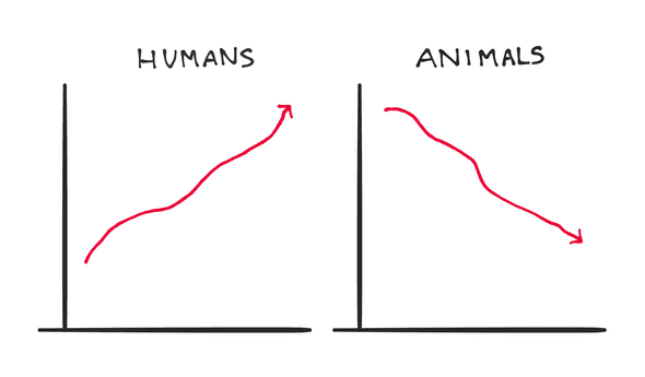humans killed animals