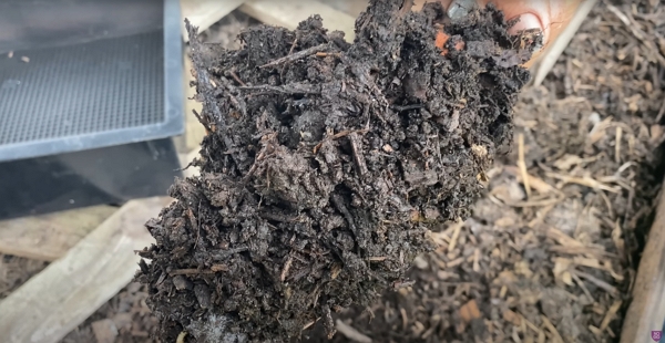 Mature compost